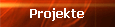 Projekte
